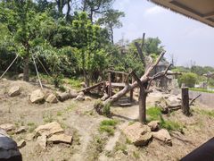 -宁波野生动物园