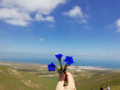-青海湖国家重点风景名胜区