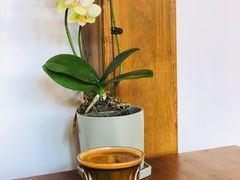 -点绛唇(鼓楼店)