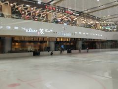 -TheRink大零溜冰场(IFS国金中心店)