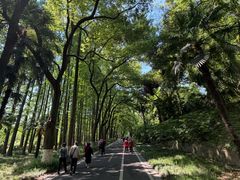 -采石矶景区