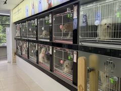 -翊宠yipet猫狗购宠庄园犬舍•猫舍