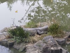 -上海野生动物园