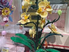 -TOP TOY(大兴荟聚店)