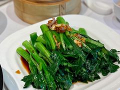 白灼菜心-春满园·早茶·粤菜·宴会(前海店)