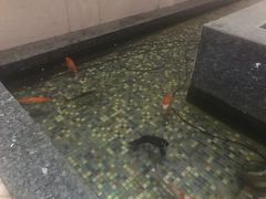 -天津津利华酒店
