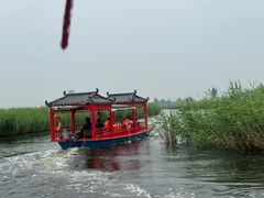 -白洋淀景区