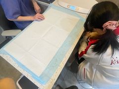 -半岛宠物医院24小时·内窥镜·牙科·碎石中心(府城大道店)