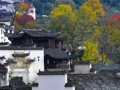 -塔川景区