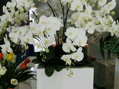 -圆融购物中心(南天成路店)
