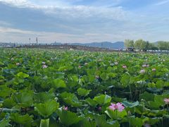 -文武王氏烧饼·无矾油条(西溪路店)