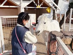 -J Create城市露营咖啡·简餐·宠物(上海动物园店)