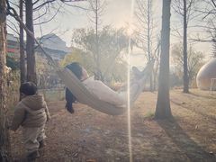 -长兴太湖图影湿地文化园
