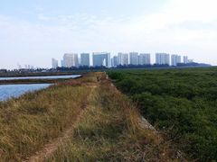 -北海金海湾红树林生态旅游区