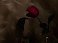 -La Lune&Gelato