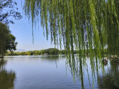 -石家庄市植物园