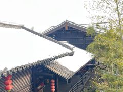 -大唐贡茶院