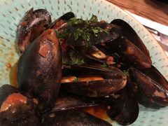 -Apollo·西班牙小酒馆(安福路店)