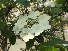 -白塘生态植物园