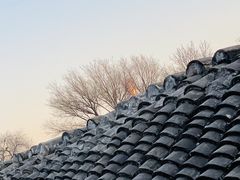 -自如ZSPACE四合院艺术餐厅