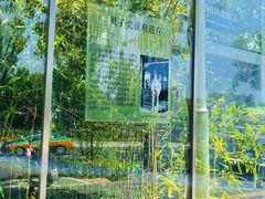 -北京市东城区东四九条小学