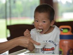 -洪湖家庭农场·团建·露营·会议