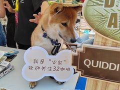 -汇泉广场