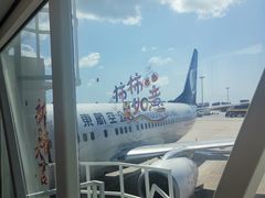 -麦当劳(三亚凤凰机场店)