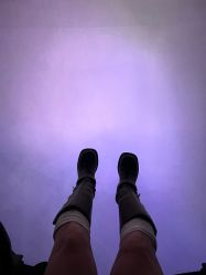 -翱翔飞越地平线