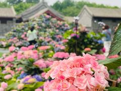 -王府井步行街