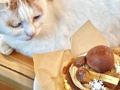 -B.O.M波姆烘焙(凤凰街店)