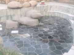 -雅安楠水阁温泉酒店