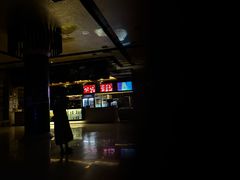 -SFC上影影城(新世界店)