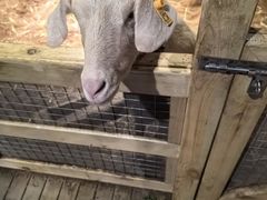 -上海苏航生活广场