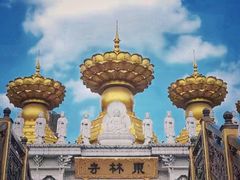 -上海东林寺(金山区)