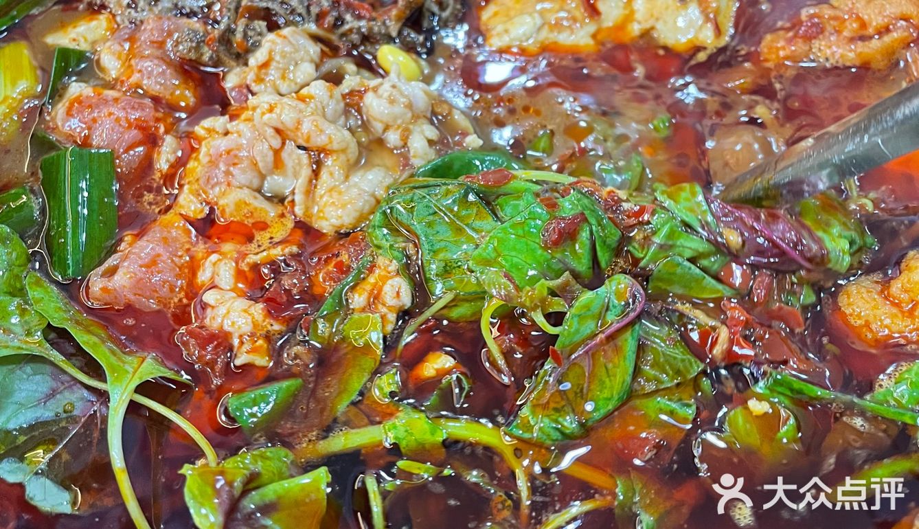 多少次来贵阳❗️就为了这个豆花火锅🍲