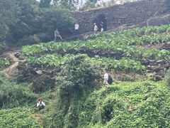 -金堂县云顶石城风景区