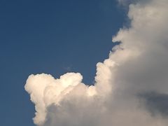 -六朵云照相馆(喷水池店)