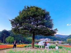 -广州市石门国家森林公园