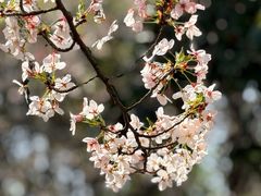 -江南大学(蠡湖校区)