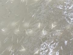 -白塘生态植物园