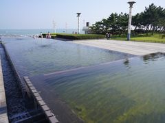 -日照灯塔风景区