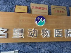 -瑞派名望志远动物医院·猫科·內科·异宠专科(直港大道店)