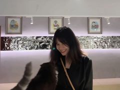 -more than meow吴止猫主题餐厅(承德 中船汇店)