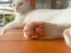 -老外街
