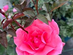 -人民公园(罗湖区)