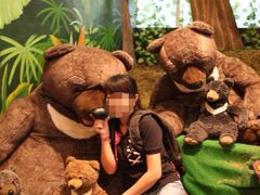 -济州岛泰迪熊博物馆