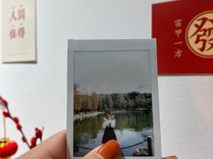 -金花茶公园