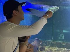 -嘉兴海底世界