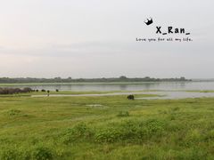 -米内日亚国家公园